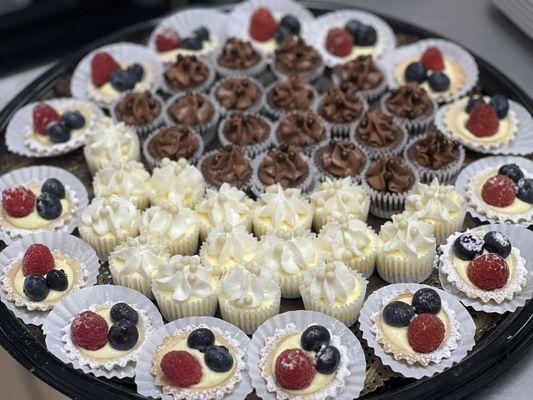 Dessert tray with mini cheesecakes and fruit tartlets