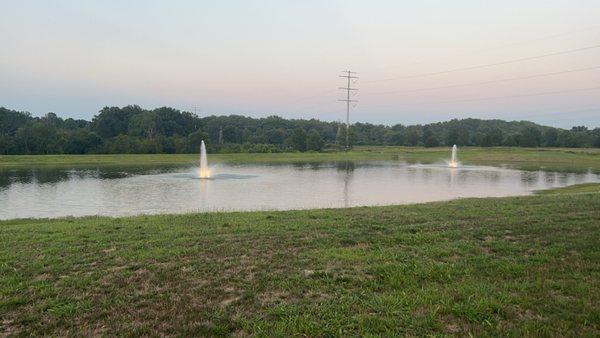 Pond behind the resort next to the vineyard