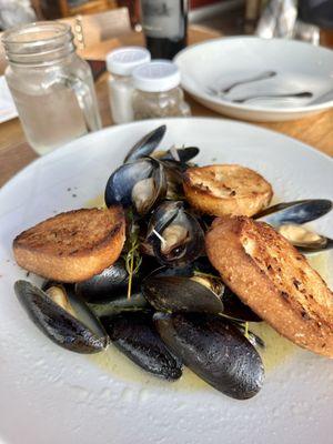 Mussels