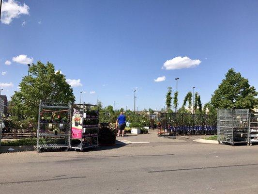 The outdoor area blocked off for trees and landscaping