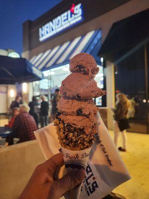 Black Raspberry Chunk in a chocolate dipped waffle cone with peanuts.