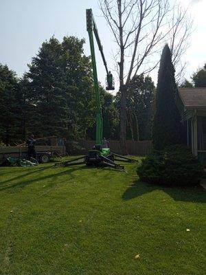 I have a whole new appreciation for Tree Service, and how much tenacity it takes to tackle a Large Very Dead 65' Tree!