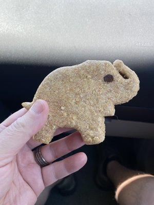 One of the beautiful handmade dog biscuits , for which our dogs go crazy.