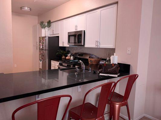 Kitchen area and pantry