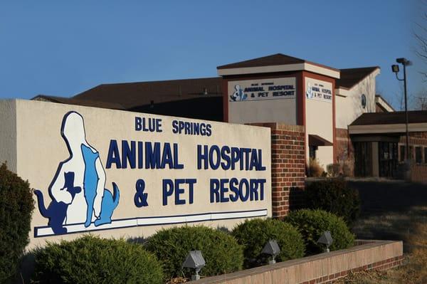 Blue Springs Animal Hospital & Pet Resort