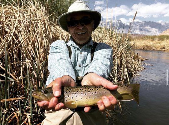 Lower Owens Brown Trout