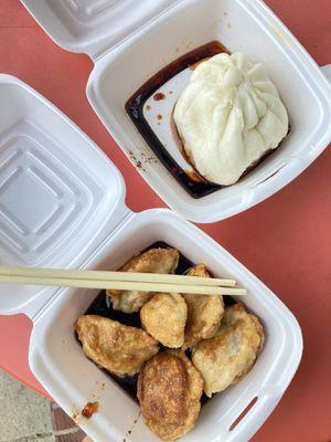 Fried Pork Dumplings and steamed pork bun