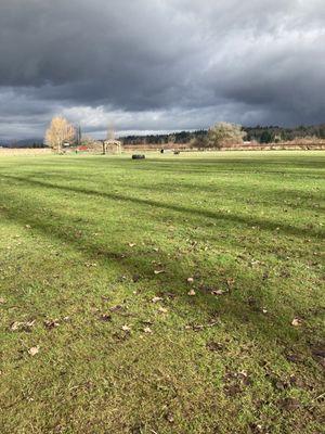 Strawberry Fields For Rover Off Leash Park