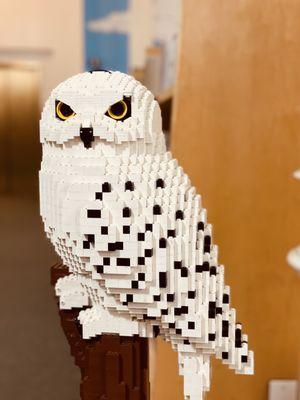 Hedwig