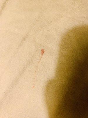 Some blood on the bed.