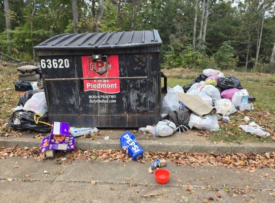 They emptied 3 weeks worth of trash, then left the remaining laying around the dumpster.