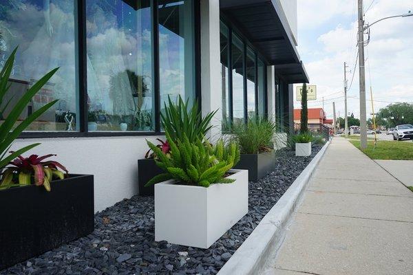 Commercial landscape, pottery planting