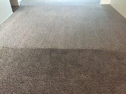 Carpet clean test before and after