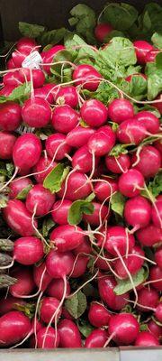 Radishes