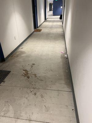 These are what the floors usually look like