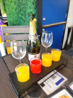 Mimosa flight