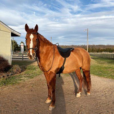 Aldie Equestrian Center