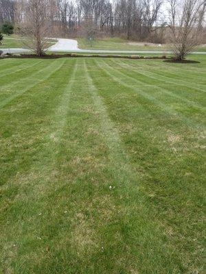 Lawn Maintenance Services