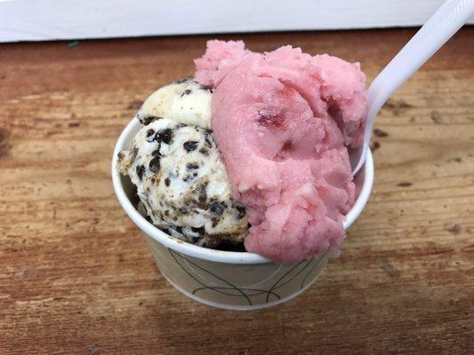 Small Scooter Pie and Raspberry Sorbet