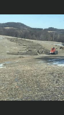 Logging of oak, white oak, walnut, and tree removal from private property or around houses or buildings.