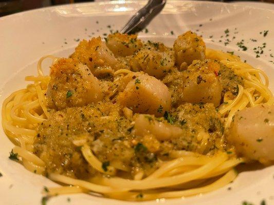 Parmesan scallop linguine appetizer