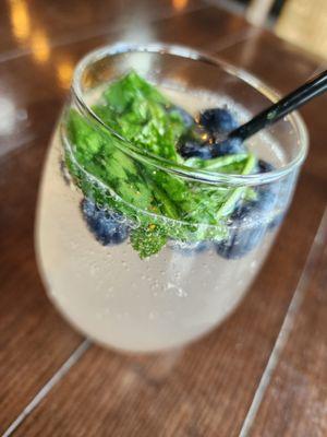 Blueberry spritzer