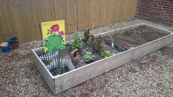 Growing garden for the children to experiment. Notice we left enough space to just dig for worms.