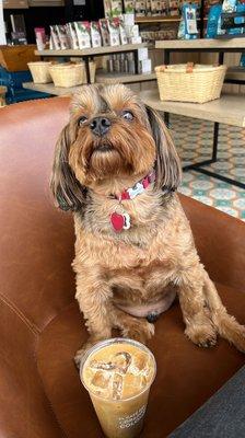 His hair after two weeks of grooming