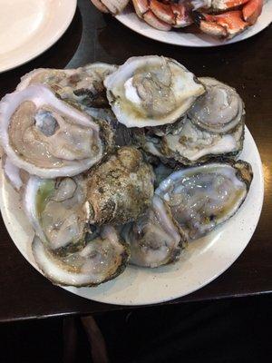 Fresh Oysters delicious