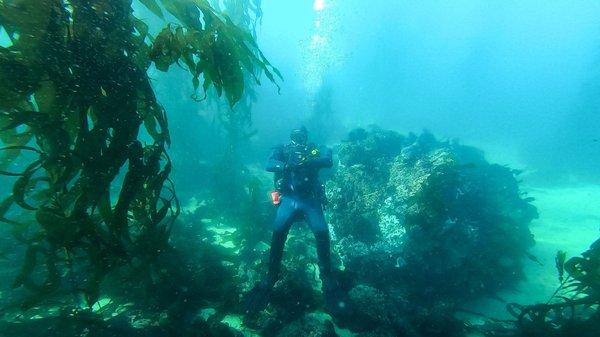 Our very professional and knowledgeable dive instructor Derek!