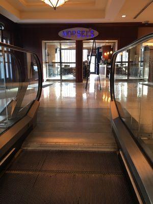 Escalator View