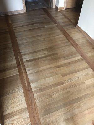 Natural Oil based stain. Water based finish. White Oak floor boards with Cherrywood border.