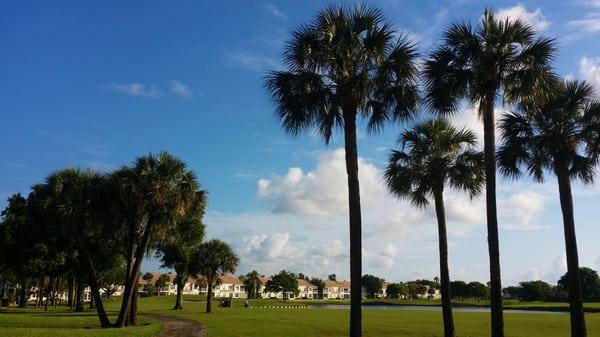 A beautiful view of the St. Tropez community from the greens in front of Spyglass Walk.