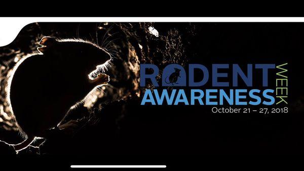 October 21-27 is Rodent Awareness Week! Contact GONE Pest Management to dine out more information (800) 358-8510