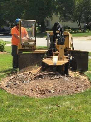 Stump grinding