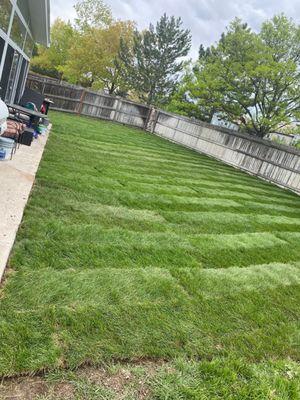 Example of new sod installation