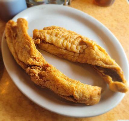 Fried Trout