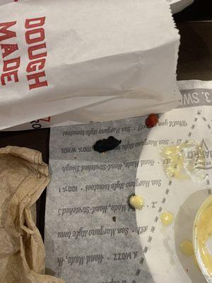 This black speck fell out of my garlic bread bag and I'm not sure how I felt about that.