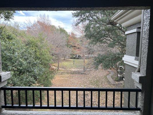 Roomy balcony, nice courtyard and beautiful old trees. This was the main selling point for me.