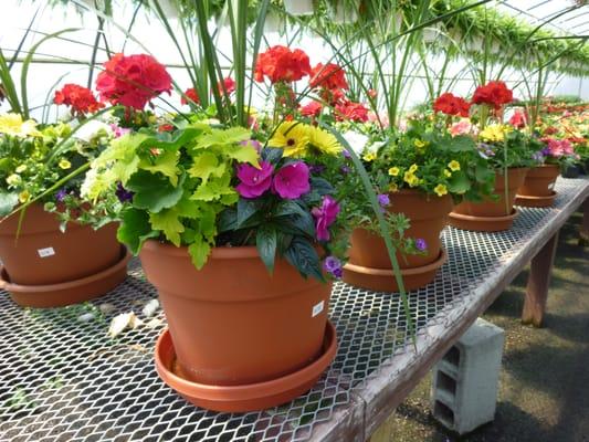 Combination Patio Pots in several sizes