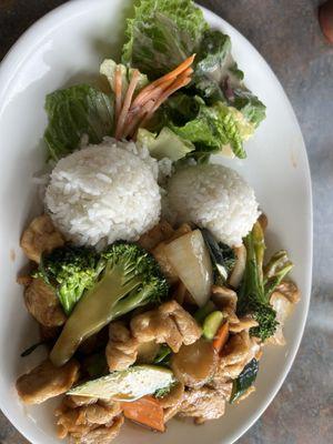 Chicken Wok with veggies