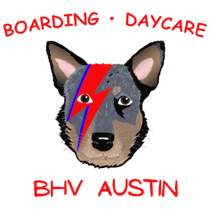 BHV- Austin