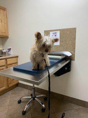 Lone Peak Veterinary Hospital