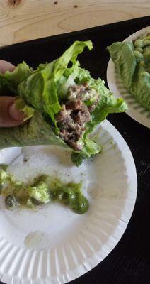 Low Carb Asada Street Taco