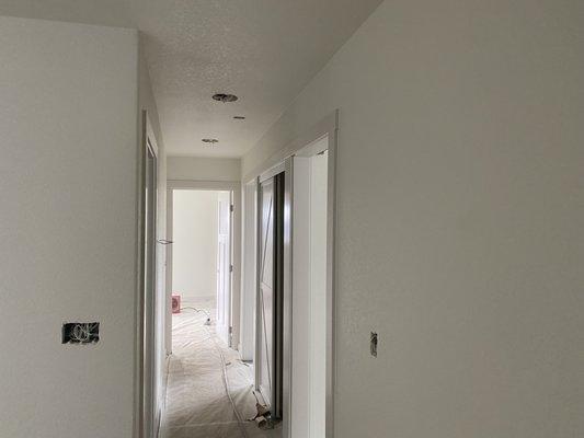 Hallway walls, ceiling, trim and doors