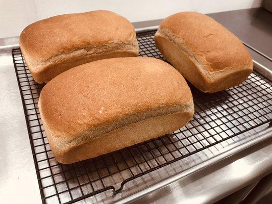 Fresh Honey Wheat Bread