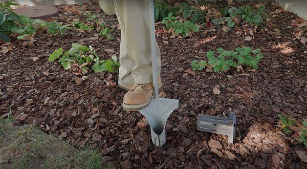 Installing a Trelona  termite baiting station in a flower bed.