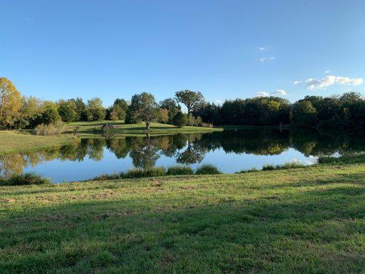 Another fishing pond on the property