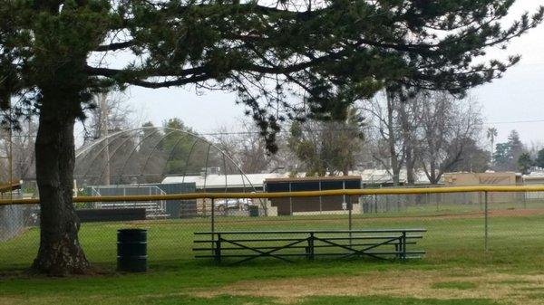 Fenced in baseball diamond