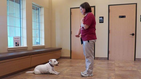 Red Bluff Pet Resort offers dog and cat boarding, grooming, training, day care and group play.